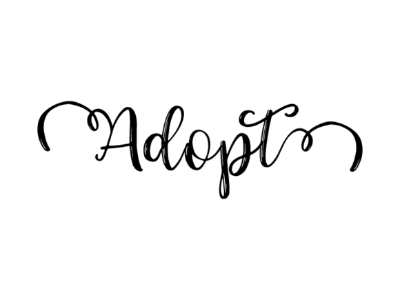 Adopt Lettering