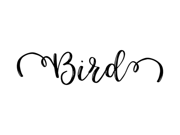 Bird Lettering: Hand-Drawn Monochrome Vector Magic