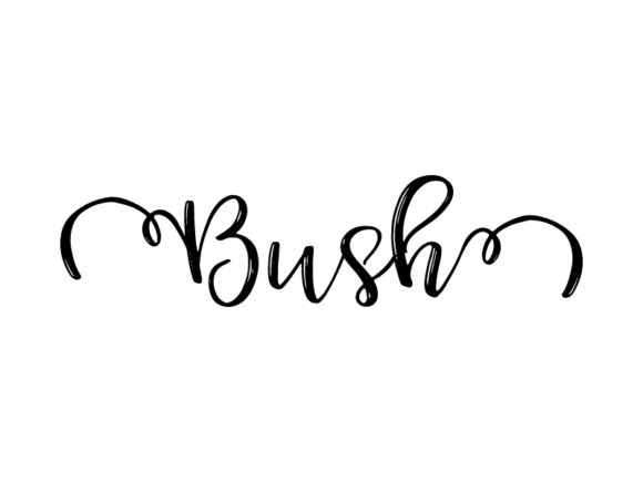 Bush Lettering: A Practical Guide for Designers and Makers