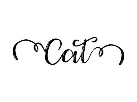 Cat Lettering: Playful, Personal, and Perfectly Versatile