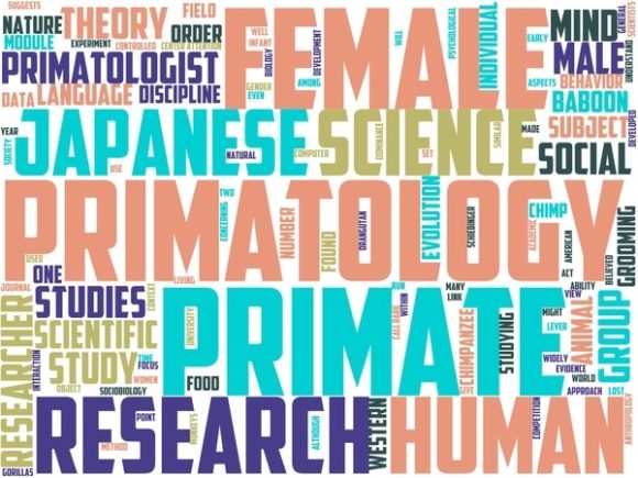 Primatology Wordart Sticker