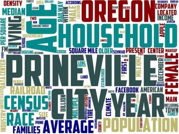 Prineville Wordart Banner: Hand-Drawn Inspiration for Real Creative Work