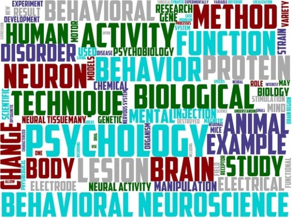 Psychobiology Wordart Skinny Tumbler