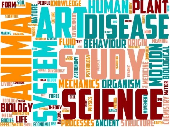 Pyretology Wordart Crafting: Hand-Drawn Colorful Wordclouds That Actually Work