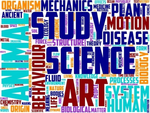 Pyrgology Wordart Skinny Tumbler