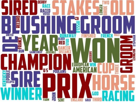 Racehorse Groom Wordart Background