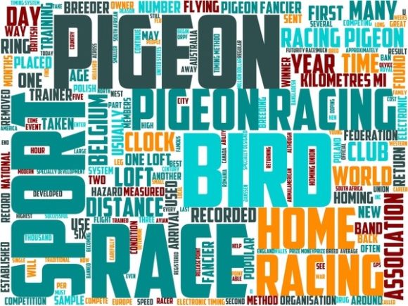 Racing Pigeons Wordart Tie Dye
